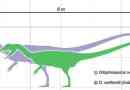 Dilofosaur