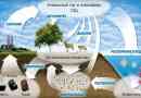 Carbon Court v Nature Kratek - Shema, Opis in video v predstavitvi