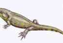 Stelocephali - dinozavri vodijo dvojni način življenja