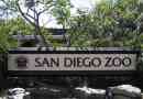 Zoo san diego: ark za obsojene živali