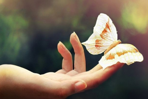 33 Načela življenja v harmoniji z naravo