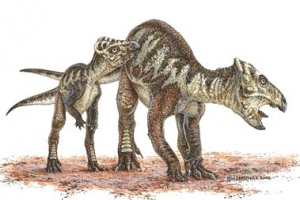 Yamaceratops