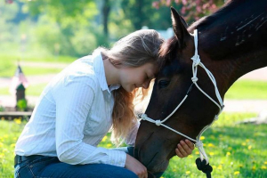 Kliki za konje - kot je dano? Kliki za konje - kot je dano?