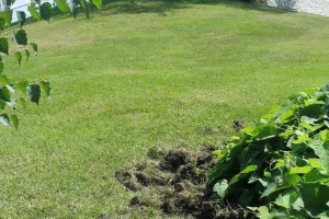 Mamaev kurgan je utrpel divji merjasci