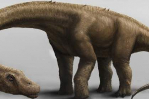 Na ozemlju argentine je našla novo vrsto dinozavrov
