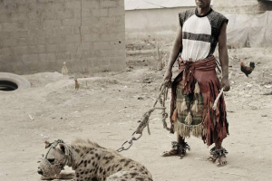 Nenavadni hišni ljubljenčki afričani