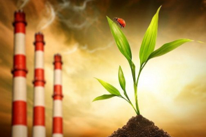 Zakaj pogosto slišimo besedo ekologijo