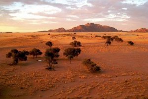 Desert namib