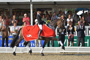 Ocena najdražjih pasem konjev Ocena najdražjih pasem konjev
