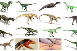 Prvi dinozavri na planetu - naslovi, kratek opis in fotografije Prvi dinozavri na planetu - naslovi, kratek opis in fotografije