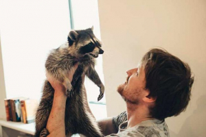 Vsebina rakuna doma - kaj je pomembno vedeti? Vsebina rakuna doma - kaj je pomembno vedeti?