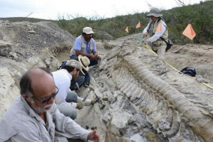 Znanstveniki iz vsega sveta iščejo ostanke dinozavrov na vologda
