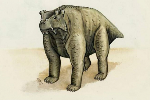 Znanstveniki so ugotovili, da so nekateri dinozavri odšli na štiri noge Znanstveniki so ugotovili, da so nekateri dinozavri odšli na štiri noge