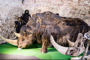 V bashkirskih jamah so našli ostanke starodavnih živali