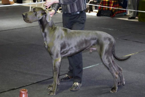 V starodavnem rimu, pasme