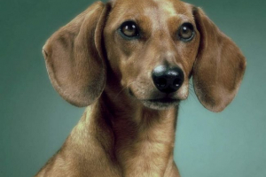 V omsk, neznane osebe, ki so se rakete z kislino V omsk, neznane osebe, ki so se rakete z kislino