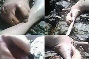 V panami je bilo ugotovljeno, da je nekakšna pošast