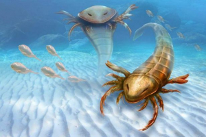 V zda, ostanki starodavnega velikanskega scorpiona