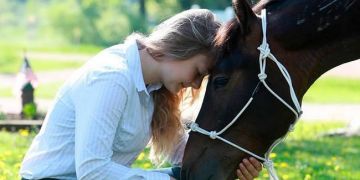 Kliki za konje - kot je dano? Kliki za konje - kot je dano?